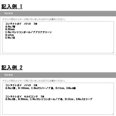特記事項欄記入例