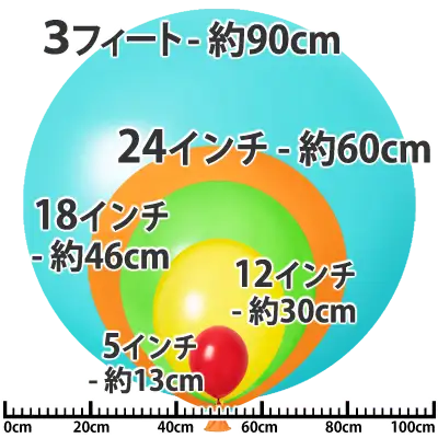 サイズ比較(5インチ-3フィート)