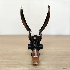 上から見たところ
