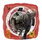 (画像)裏