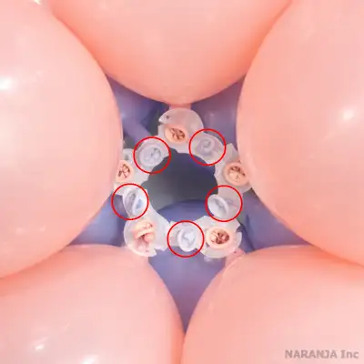 内側にも5個取りつける