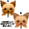 (画像)デザイン違い(ヨーキー)