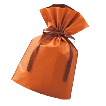 Wrapping Bag